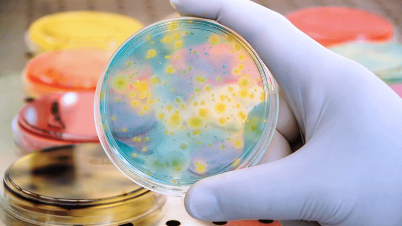 移液器流量参数如何精准把握？关键点解析**