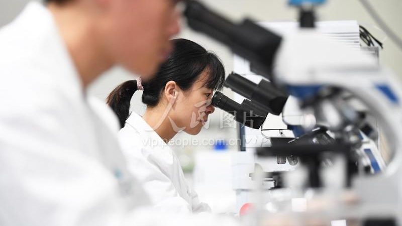 细胞培养试剂定制，揭秘定制化服务背后的流程与考量