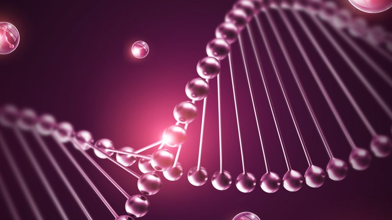 北京生物医药外包价格，如何理性评估？**