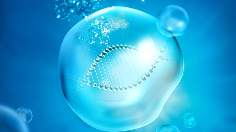 细胞培养基，研发路上的得力助手**