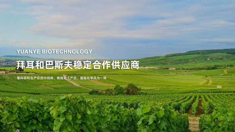 上海生物制品采购：谈判技巧解析**