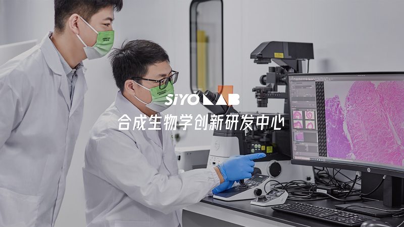 CDMO代工企业排名背后的考量因素