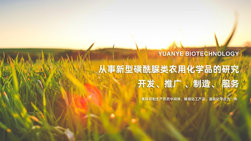 基因测序技术在单基因病诊断中的应用与选择