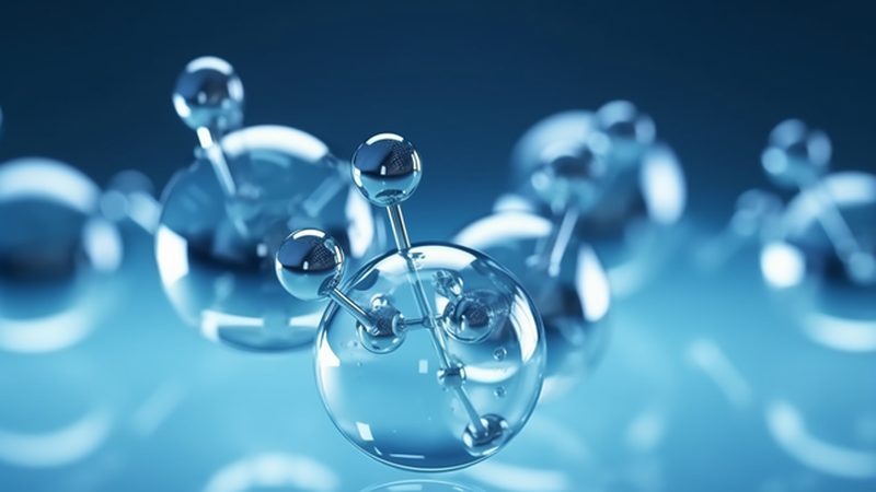 分子生物学试剂：揭秘其背后的价格构成