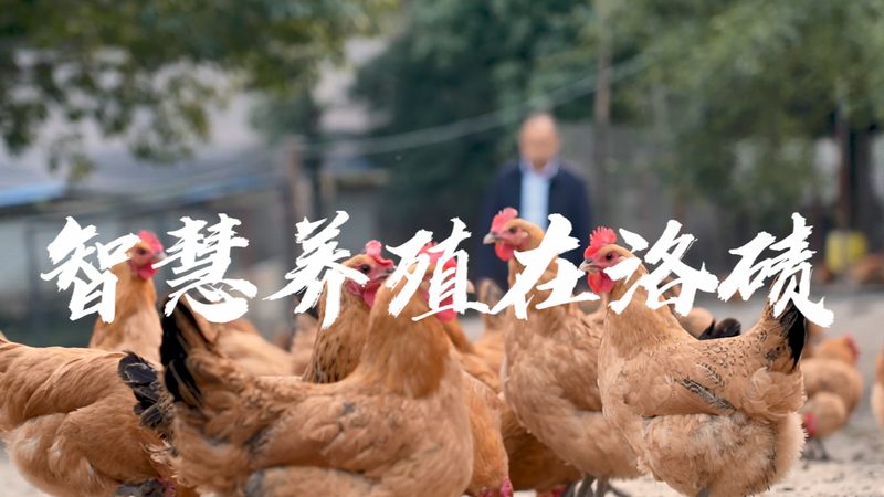上海生物制品采购，价格查询背后的考量因素**