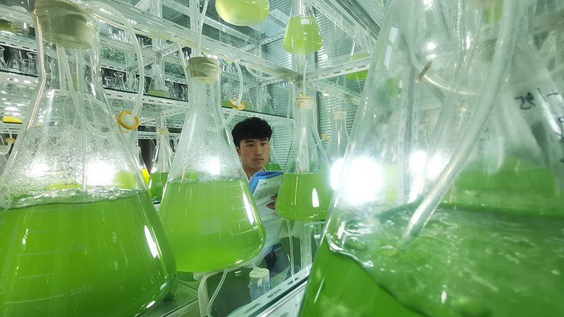 CRo与A/B测试：两种提升转化率的利器